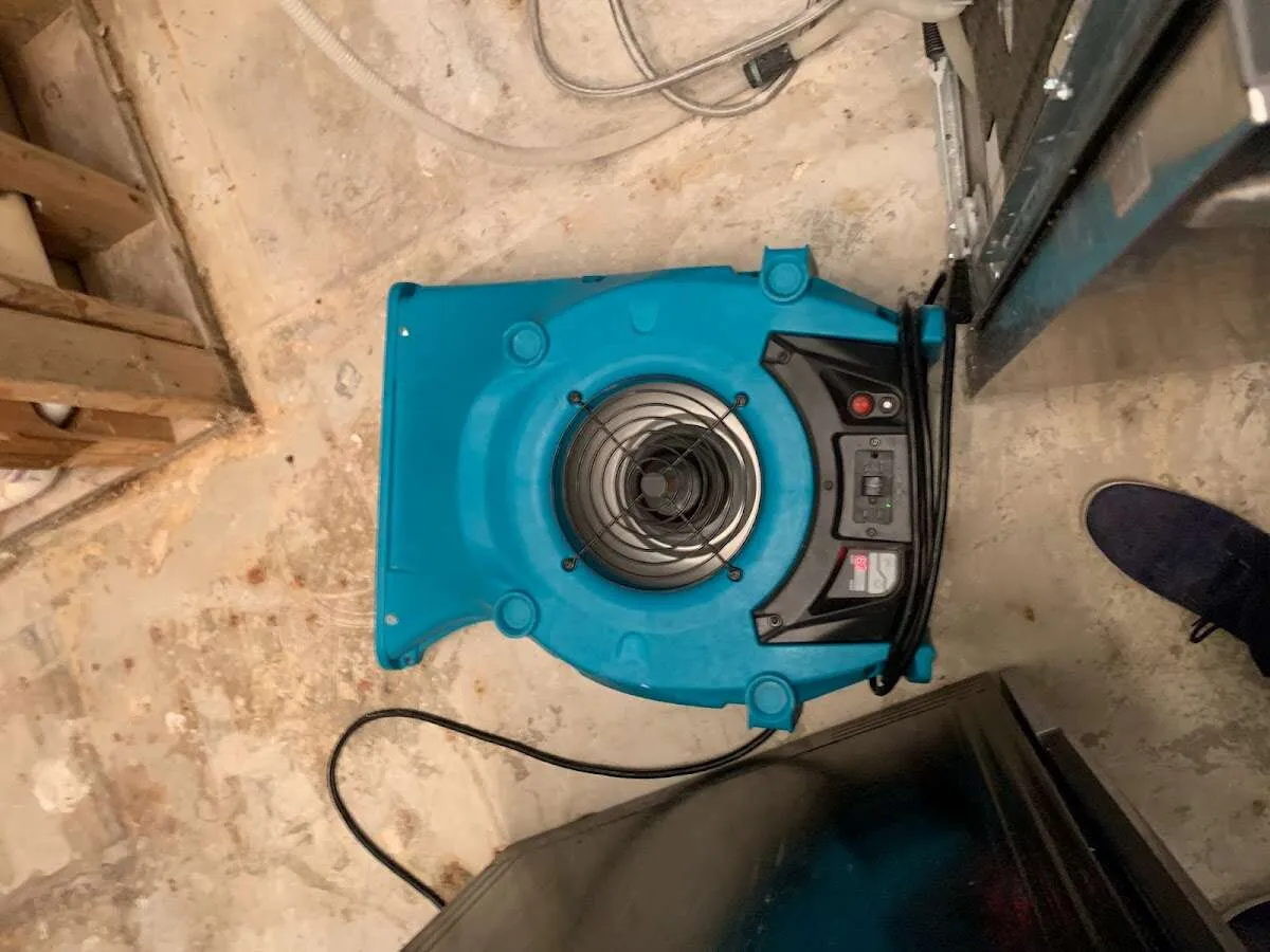 Air mover drying equipment for Mold Remediation & Removal in Northridge